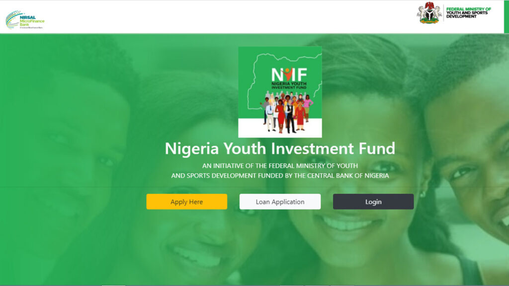 Nigerian youth investment fund