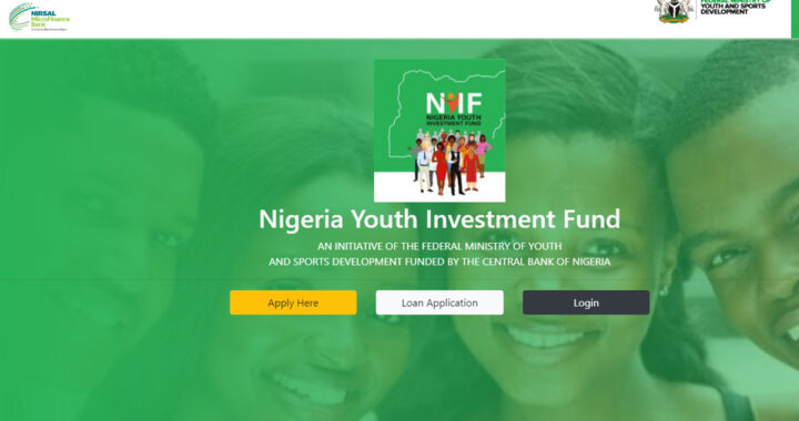 Nigerian youth investment fund